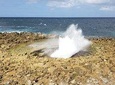 Curacao Private Tour and Activity Experience (4 up to 15 people)