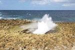 Curacao Private Tour and Activity Experience (4 up to 15 people)