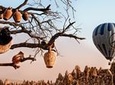 10 Day Private Turkey Tour: Istanbul, Cappadocia, Ephesus and Pamukkale