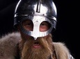 The Viking Planet