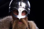 The Viking Planet