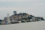 Half Day: Santay Island & Guayaquil History, Nature and Traditions