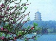 Hangzhou City Center Transfer to Shanghai Pudong Airport