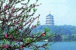Hangzhou City Center Transfer to Shanghai Pudong Airport