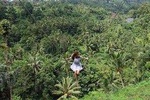 Bali Swing, Tegalalang Rice Terrace and Ubud Center