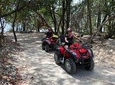 Shore Excursion: V.I.P. DayPass: ATV, Zip Lines, Horseback Riding & Lunch