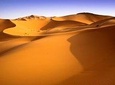 Oasis & Desert - 4 days - Private tour
