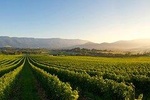 Small-Group Guided Yarra Valley Winery Tour with Wine Tasting
