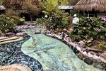 Papallacta hot-springs + Guango Reserve - Private tour