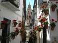 Private Tour: Cordoba Walking Tour with Skip-the-line Tickets
