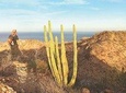 Guided Hike in Tabor Canyon