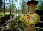 Explore Rokua Geopark, Finland