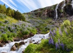 Visit Búðarárfoss Waterfall, Iceland