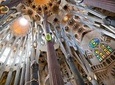Private and Personalized Experience: See Barcelona with a Local