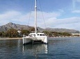 Small group catamaran trip in Marbella with dolphin watching