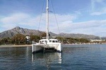 Small group catamaran trip in Marbella with dolphin watching