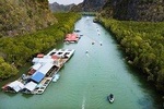 Four Hours Natasha Mangrove Tour (Sharing)