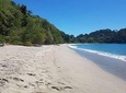 Manuel Antonio National Park; Beach & Sightseeing Day Trip from San Jose