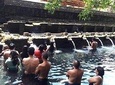 Ubud Kintamani Volcano Private Tour - Free WiFi