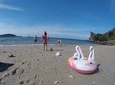 4 in 1 Best of Best Unforgetable Phuket Unique Tour by Phuket Easy Tour 