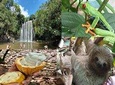 Rain forest, Wild life, Waterfall and Chocolate Private Tour