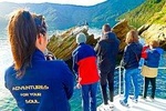Marlborough Sounds Ultimate Cruise 