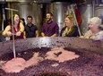 Mornington Peninsula Winery Tour Including Wine Tastings and 2-Course Lunch