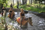 Horse Riding around Titreyengol and Sorgun Pine Forest