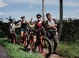 Private Fat Tire E-Bike Tour in Ubud