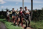Private Fat Tire E-Bike Tour in Ubud