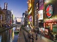 Private and Personalized Experience: See Osaka with a Local