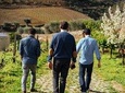 PRIVATE Full-Day Tour: Douro Valley Trip with Wine Tasting & Boat Ride