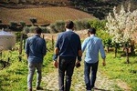 PRIVATE Full-Day Tour: Douro Valley Trip with Wine Tasting & Boat Ride