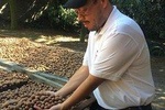 Antigua Guatemala + Macadamia Farm .
