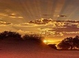 Early Morning Desert Safari With Camel Trekking Experience