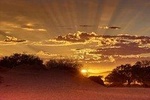 Early Morning Desert Safari With Camel Trekking Experience