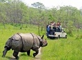 Jungle Safari Tour in Chitwan National Park