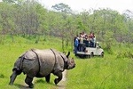 Jungle Safari Tour in Chitwan National Park
