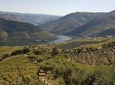 LUX DOURO THE SECRET PARADISE private tour at Porto