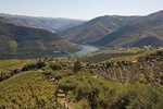 LUX DOURO THE SECRET PARADISE private tour at Porto