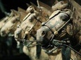 Quick Tour to Xi'an Terracotta Warriors from Shanghai by Air in One Day