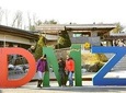 Full-day Customizable private DMZ tour with Korean BBQ