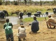 MIKUMI NATIONAL PARK GAME DRIVE AND WALKING SAFARI INSIDE THE PARK 3 DAYS