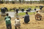 MIKUMI NATIONAL PARK GAME DRIVE AND WALKING SAFARI INSIDE THE PARK 3 DAYS
