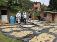 Private Coffee Tour in Colombia