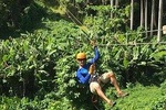Yunque Rainforest Ziplining