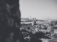 Private Photo Session with a Local Photographer in Porto