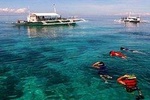 Cebu Island Hopping with Lunch