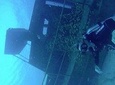 Shore Dive Aruba for Certified Divers