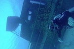 Shore Dive Aruba for Certified Divers